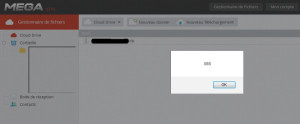 Faille XSS sur le site Mega