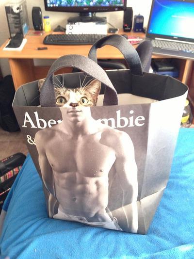LOL-CATS-1