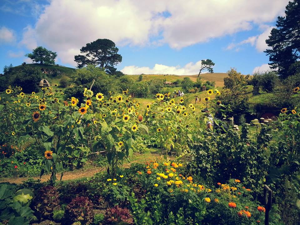 hobbiton-1