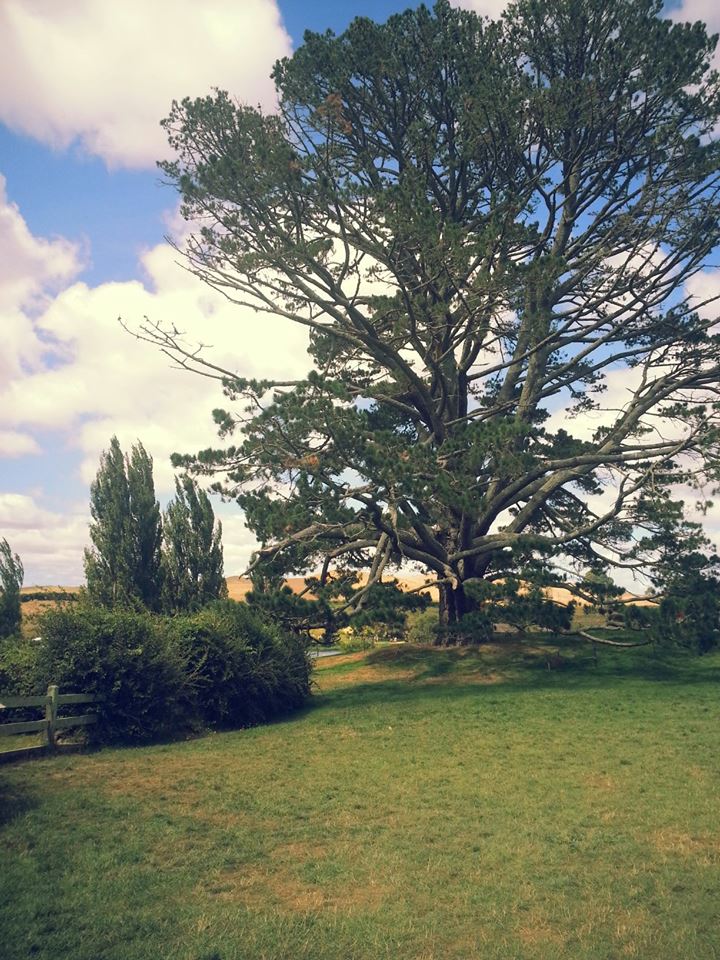 hobbiton-7