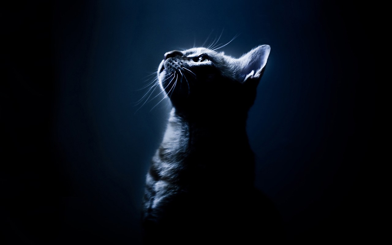 wallpaper-373426