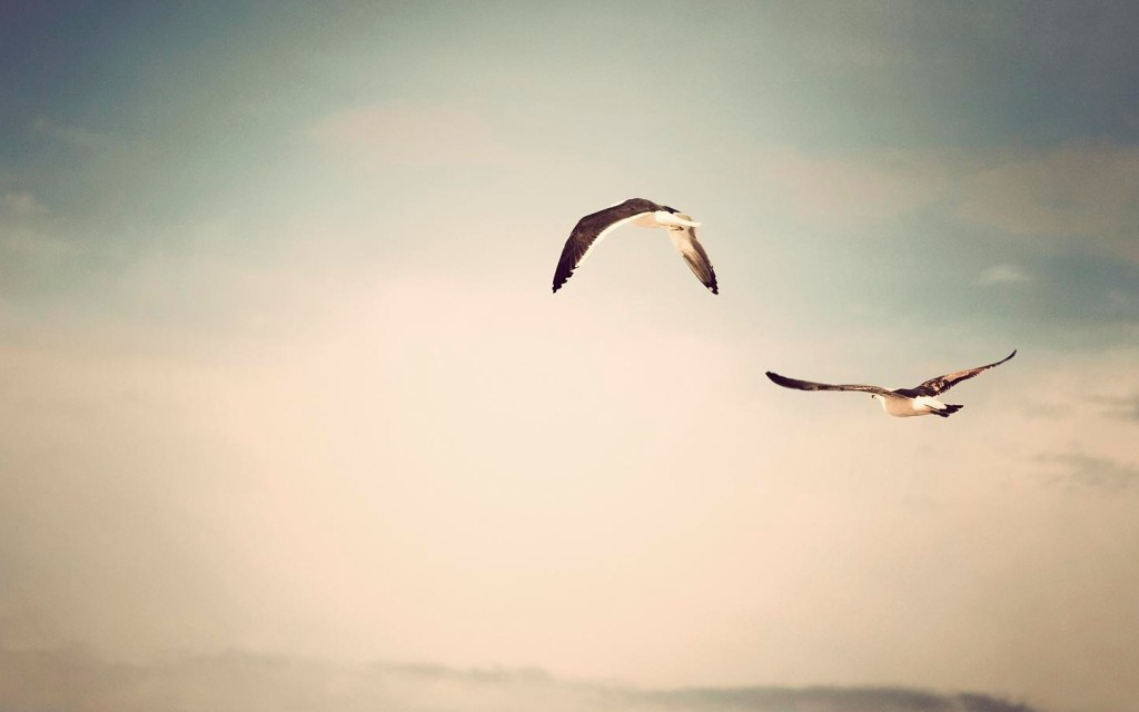 wallpaper-1784