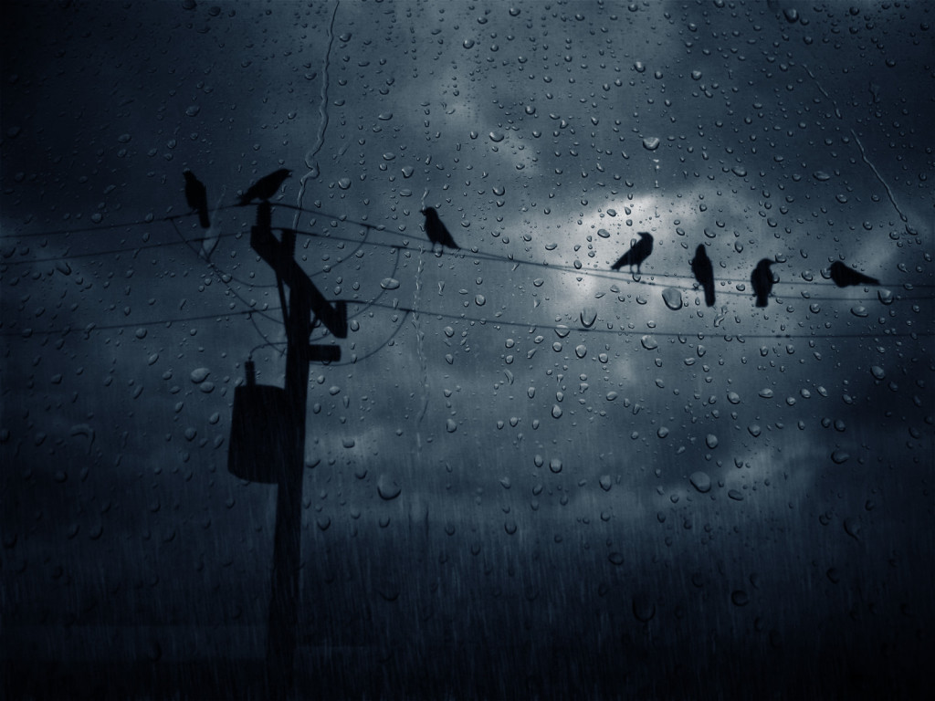 wallpaper-248923