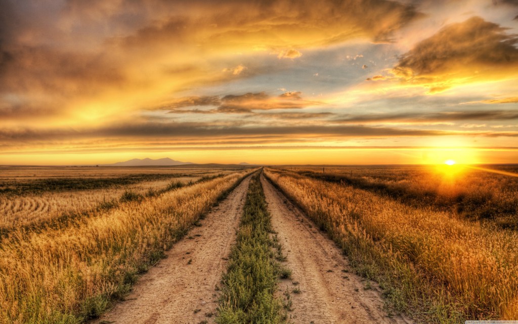 wallpaper-2500369