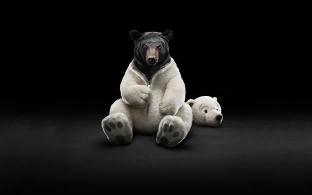 bears-10814