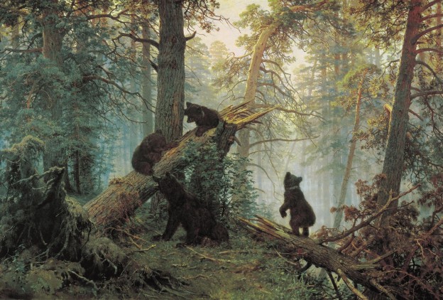 bears-51435