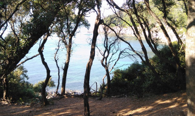 Une photo souvenir de Port-Cros / ©CorentinMors