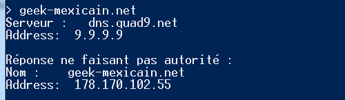 Que s'est-il passé entre 11h05 et 13h03 le 24 avril dernier ? | `nslookup geek-mexicain.net`