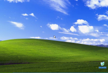 Ivre, il préfère windows XP à sa famille