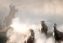 Fonds d’écran #33 #horse