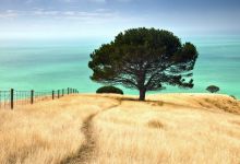 De magnifiques Wallpaper