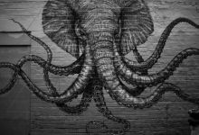Fonds d’écran #38 #éléphants