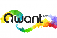 Qwant Lite : une version légère du moteur de recherche qui protège votre vie privée