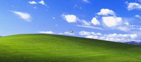 Ivre, il préfère windows XP à sa famille