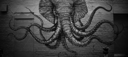 Fonds d’écran #38 #éléphants