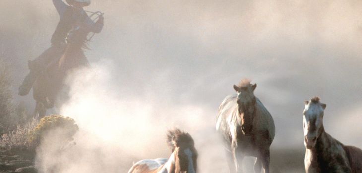 Fonds d’écran #33 #horse