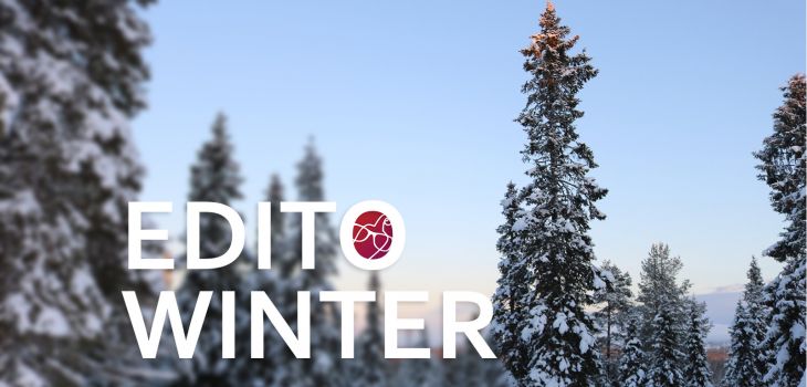 [EDITO] Projets, association et fin d'année 2017