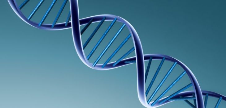 Comment sauver notre planète : la bioingénierie ?