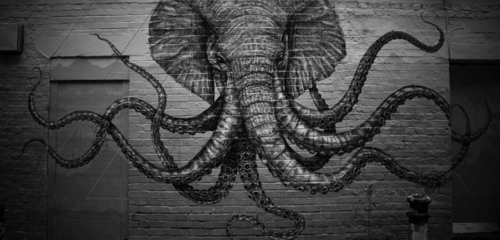 Fonds d’écran #38 #éléphants