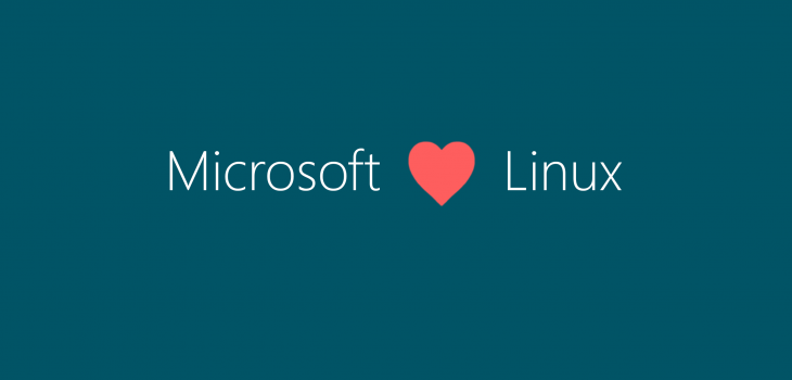 Microsoft dévoile un produit sous Linux