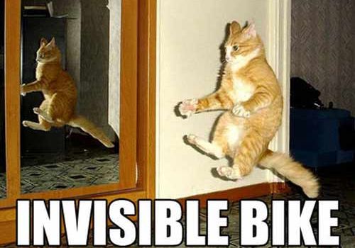 Quelques LOLcats