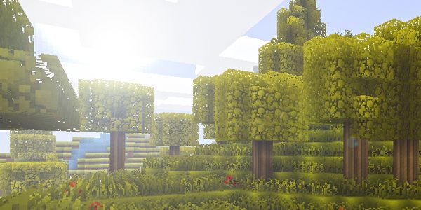 Un film Minecraft pour bientôt
